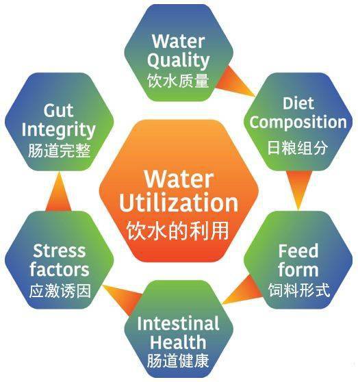 無(wú)處不在的水線問(wèn)題，凈化刻不容緩——二甲酸鉀來(lái)解決